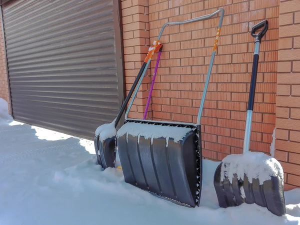 Mold Removal Tools